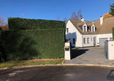 Allgreenart Jardinage Entreien Ophain 9 400x284